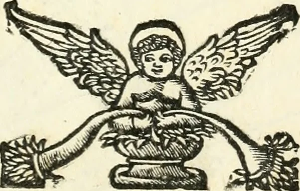 An illustration from Delle fortificationi di Bvonaivto Lorini, nobile fiorentino, libri cinque : ne' qvali si mostra con le piv facili regole la scienza con la pratica, di fortificare le citta & altri luoghi sopra diuersi siti, con tvtti gli avvertimenti, che per intelligenza di tal materia possono occorrere .., 1597, leaf 28
