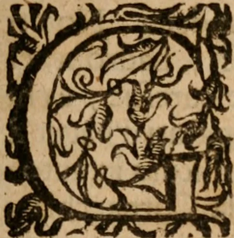 An illustration from Delle frascherie di Antonio Abati fasci tre .., 1658, leaf 10