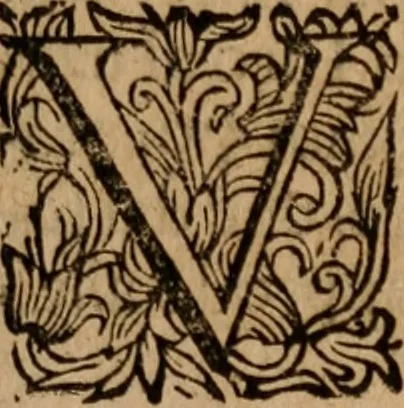 An illustration from Delle frascherie di Antonio Abati fasci tre .., 1658, leaf 202