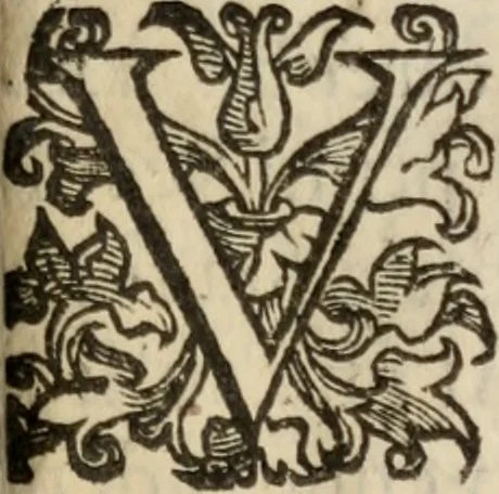 An illustration from Delle frascherie di Antonio Abati fasci tre .., 1651, leaf 270