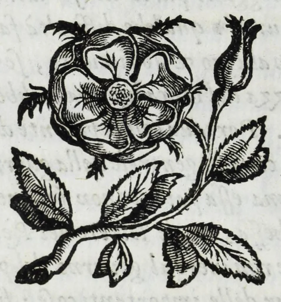 An illustration from Delle guerre della Germania Inferiore. Istoria, 1614, leaf 130