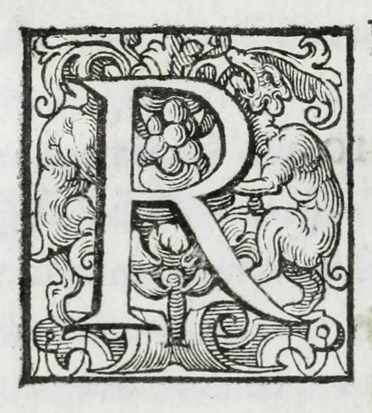 An illustration from Delle guerre della Germania Inferiore. Istoria, 1614, leaf 186