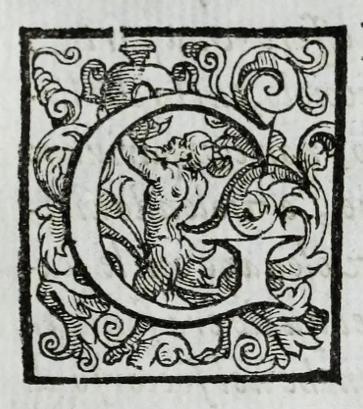An illustration from Delle guerre della Germania Inferiore. Istoria, 1614, leaf 279