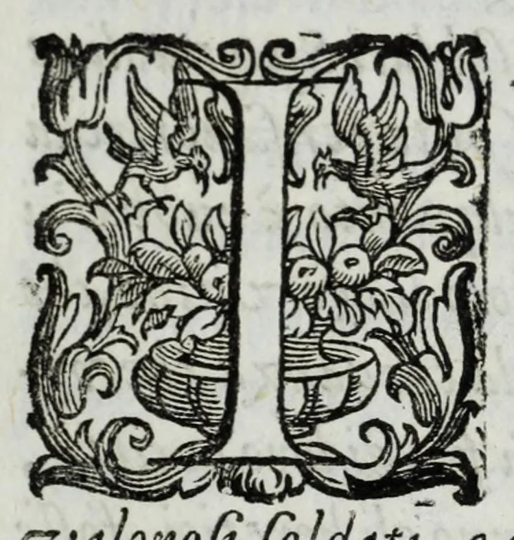 An illustration from Delle guerre della Germania Inferiore. Istoria, 1614, leaf 331