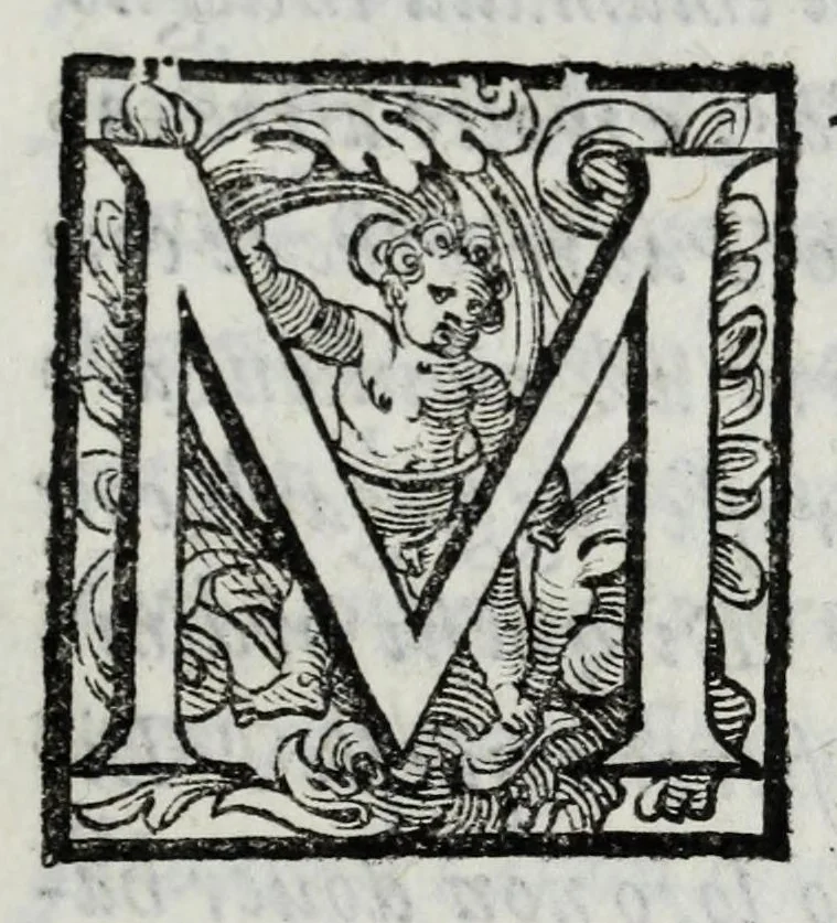 An illustration from Delle guerre della Germania Inferiore. Istoria, 1614, leaf 511