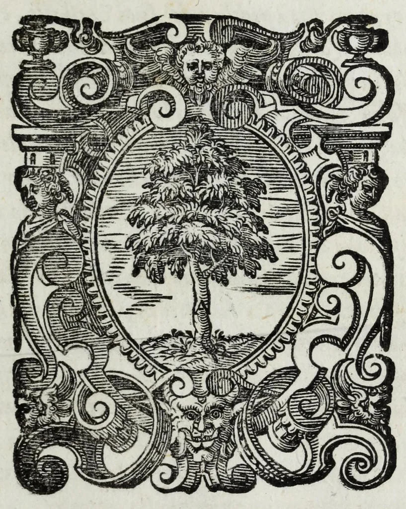 An illustration from Delle guerre della Germania Inferiore. Istoria, 1614, leaf 577