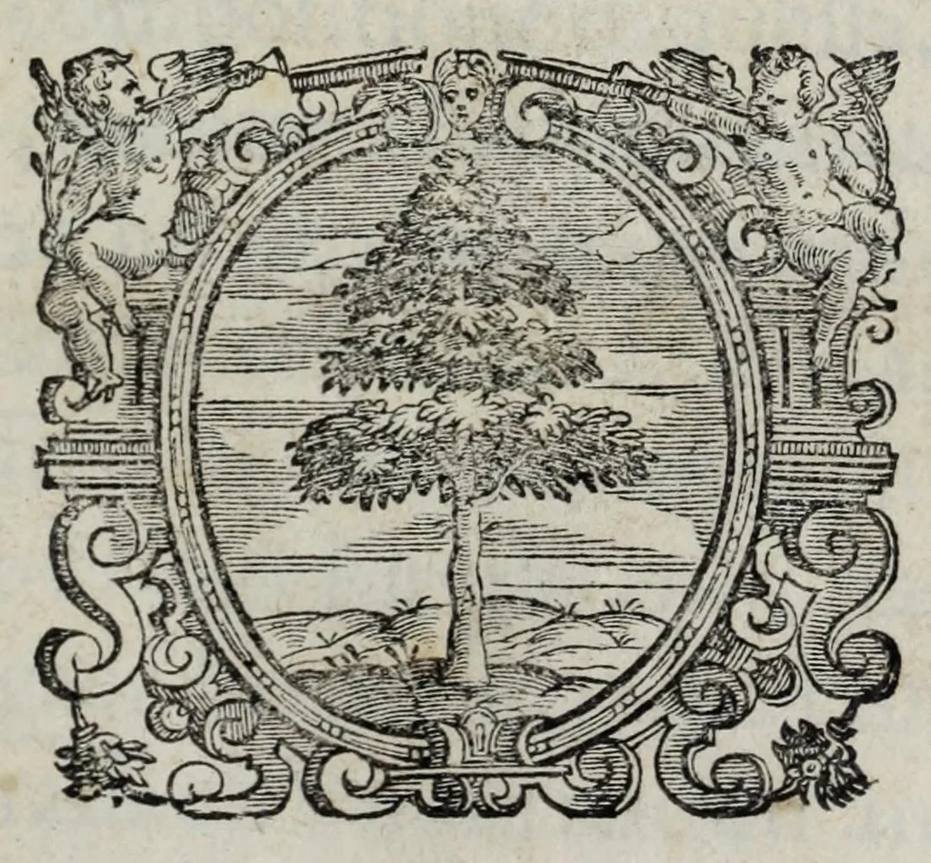 An illustration from Delle guerre della Germania Inferiore. Istoria, 1614, leaf 7