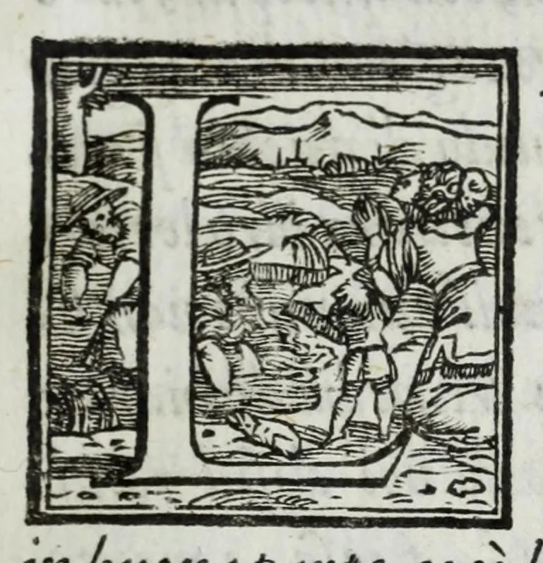 An illustration from Delle guerre della Germania Inferiore. Istoria, 1614, leaf 81