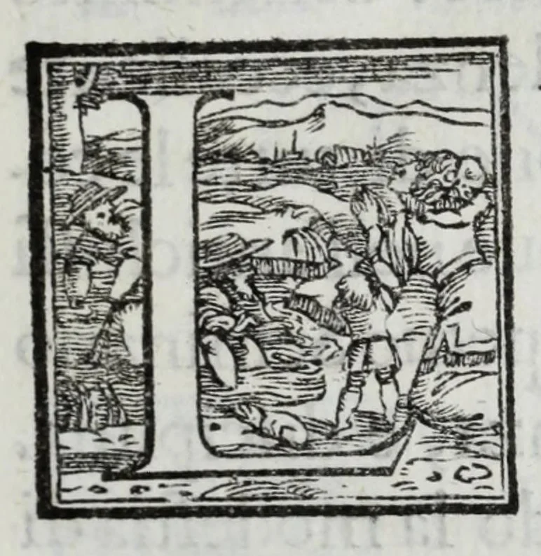 An illustration from Delle guerre della Germania Inferiore. Istoria, 1614, leaf 9