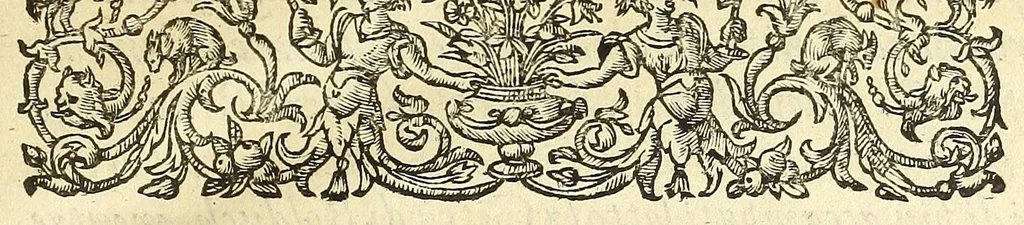 An illustration from Delle guerre di Fiandra libri VI, 1609, leaf 11