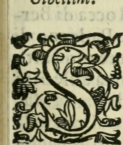 An illustration from Delle historie bresciane di M. Helia Cavriolo libri dodeci : ne' qvali si vede l'origine et antichità della città Brescia, come fv delle prime che venesse alla fede, il nvmero de martiri, et de vescovi canonizati : le gverre, i sacchi, e le rovine di qvella : tutti i suoi signori, et come peruenne sotto il felicissimo dominio venetiano, 1585, leaf 174