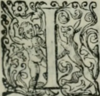 An illustration from Delle imprese trattato, 1592, leaf 116