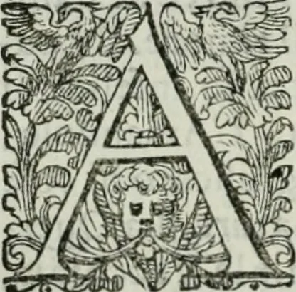 An illustration from Delle imprese trattato, 1592, leaf 155
