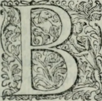 An illustration from Delle imprese trattato, 1592, leaf 192