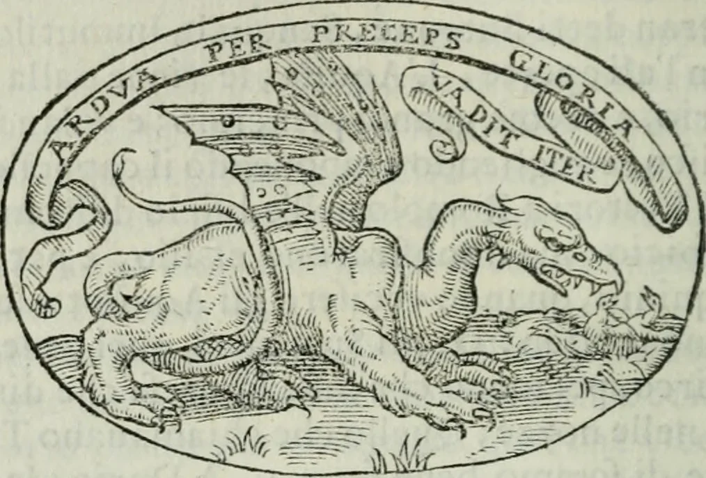 An illustration from Delle imprese trattato, 1592, leaf 195