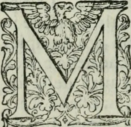 An illustration from Delle imprese trattato, 1592, leaf 195