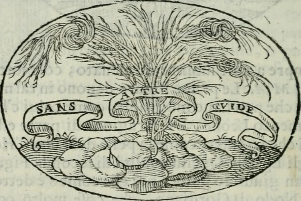 An illustration from Delle imprese trattato, 1592, leaf 203