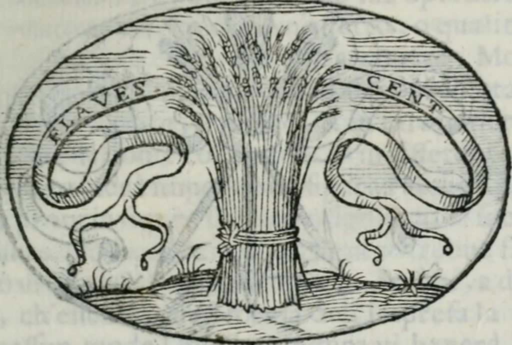 An illustration from Delle imprese trattato, 1592, leaf 206
