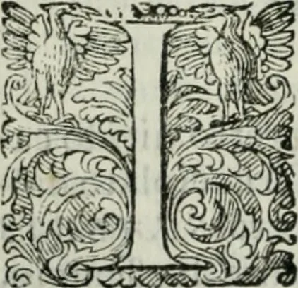 An illustration from Delle imprese trattato, 1592, leaf 207