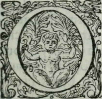 An illustration from Delle imprese trattato, 1592, leaf 210