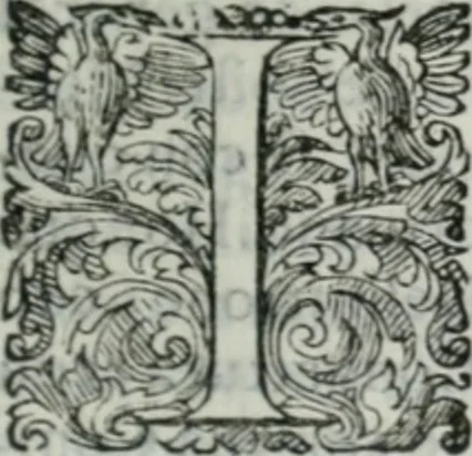 An illustration from Delle imprese trattato, 1592, leaf 214
