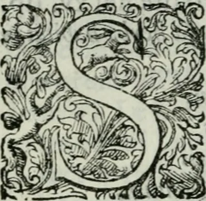 An illustration from Delle imprese trattato, 1592, leaf 231
