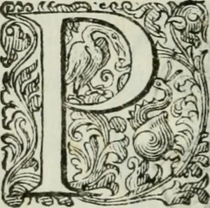 An illustration from Delle imprese trattato, 1592, leaf 259