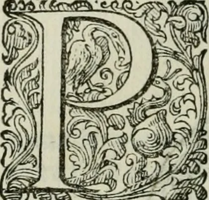 An illustration from Delle imprese trattato, 1592, leaf 269