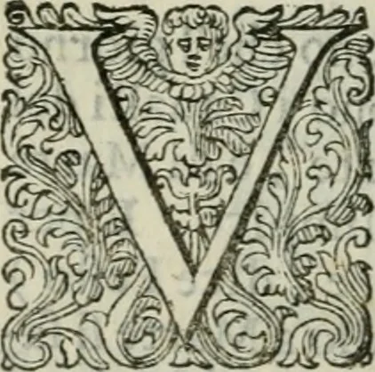 An illustration from Delle imprese trattato, 1592, leaf 293