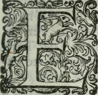 An illustration from Delle imprese trattato, 1592, leaf 300