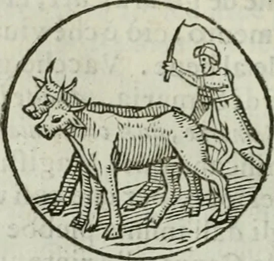 An illustration from Delle imprese trattato, 1592, leaf 303
