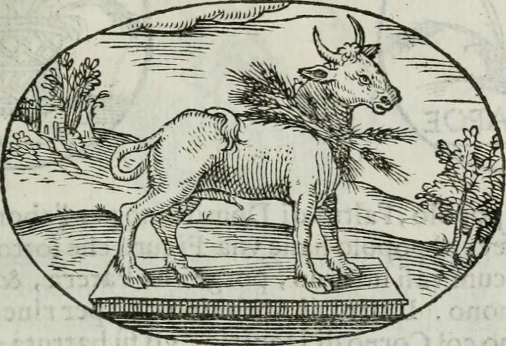 An illustration from Delle imprese trattato, 1592, leaf 304
