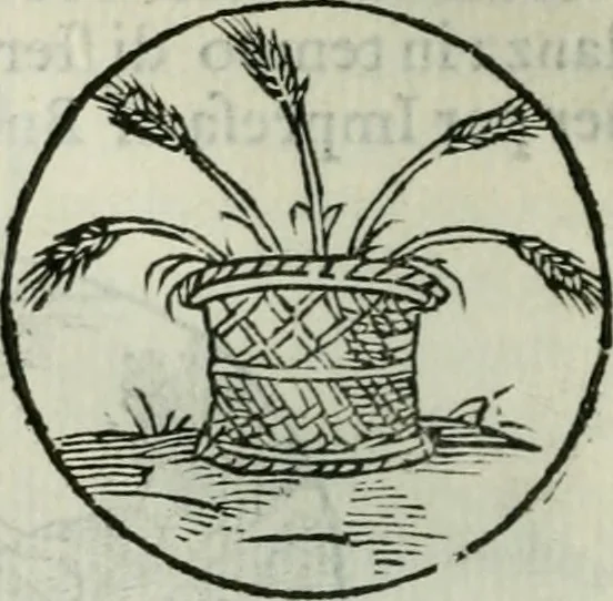 An illustration from Delle imprese trattato, 1592, leaf 305
