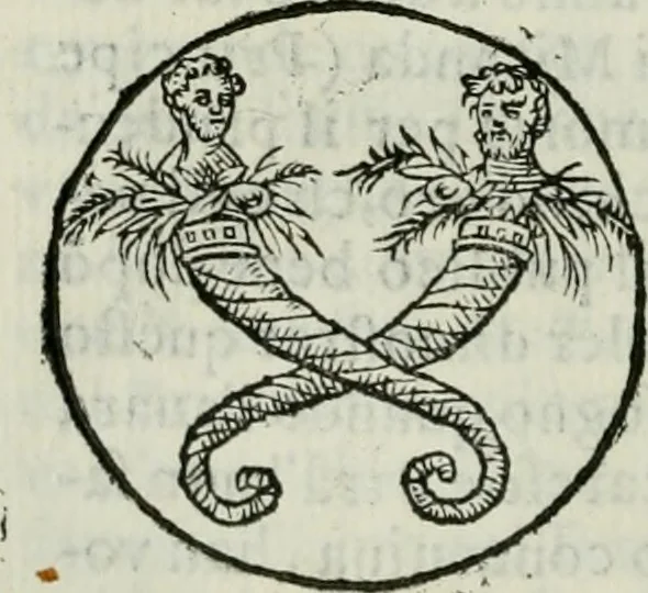 An illustration from Delle imprese trattato, 1592, leaf 305