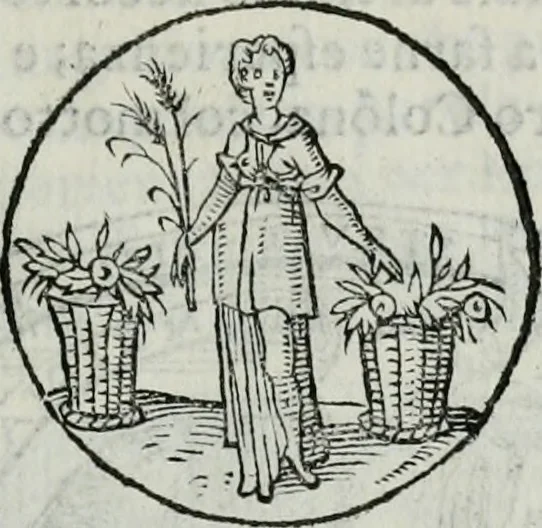 An illustration from Delle imprese trattato, 1592, leaf 306