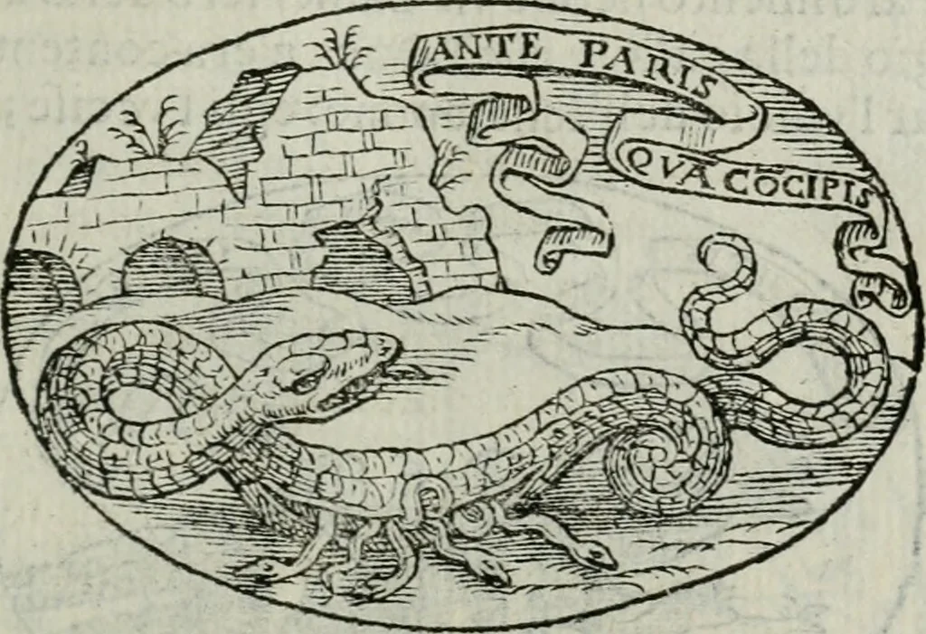 An illustration from Delle imprese trattato, 1592, leaf 352