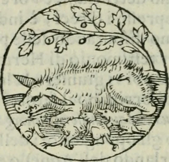 An illustration from Delle imprese trattato, 1592, leaf 361