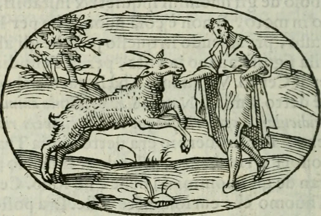 An illustration from Delle imprese trattato, 1592, leaf 371
