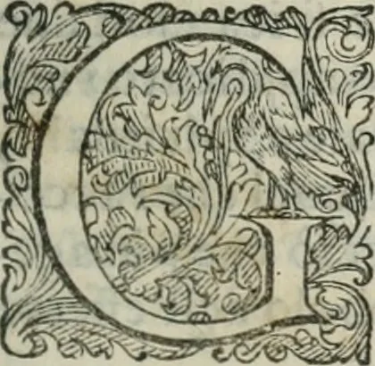 An illustration from Delle imprese trattato, 1592, leaf 394