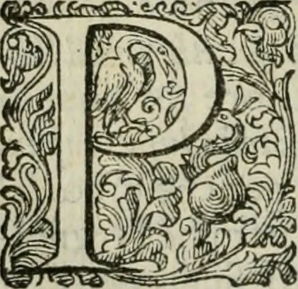 An illustration from Delle imprese trattato, 1592, leaf 395