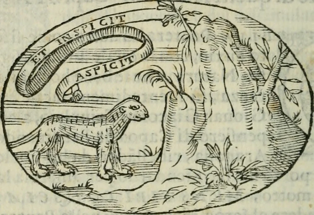 An illustration from Delle imprese trattato, 1592, leaf 405
