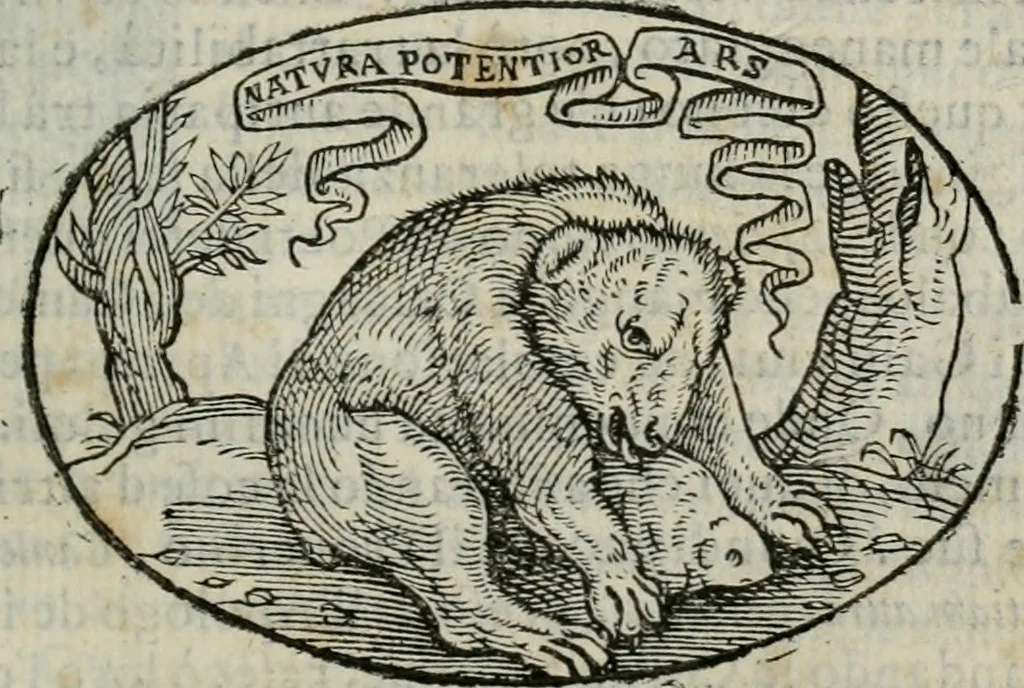 An illustration from Delle imprese trattato, 1592, leaf 410