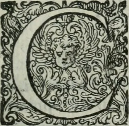 An illustration from Delle imprese trattato, 1592, leaf 412