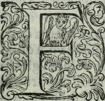 An illustration from Delle imprese trattato, 1592, leaf 416