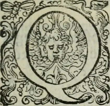 An illustration from Delle imprese trattato, 1592, leaf 432