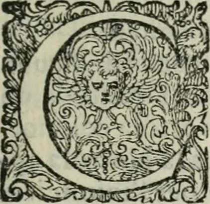 An illustration from Delle imprese trattato, 1592, leaf 434