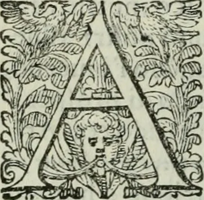 An illustration from Delle imprese trattato, 1592, leaf 449