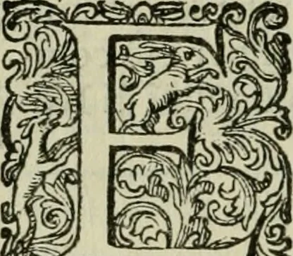 An illustration from Delle imprese trattato, 1592, leaf 453