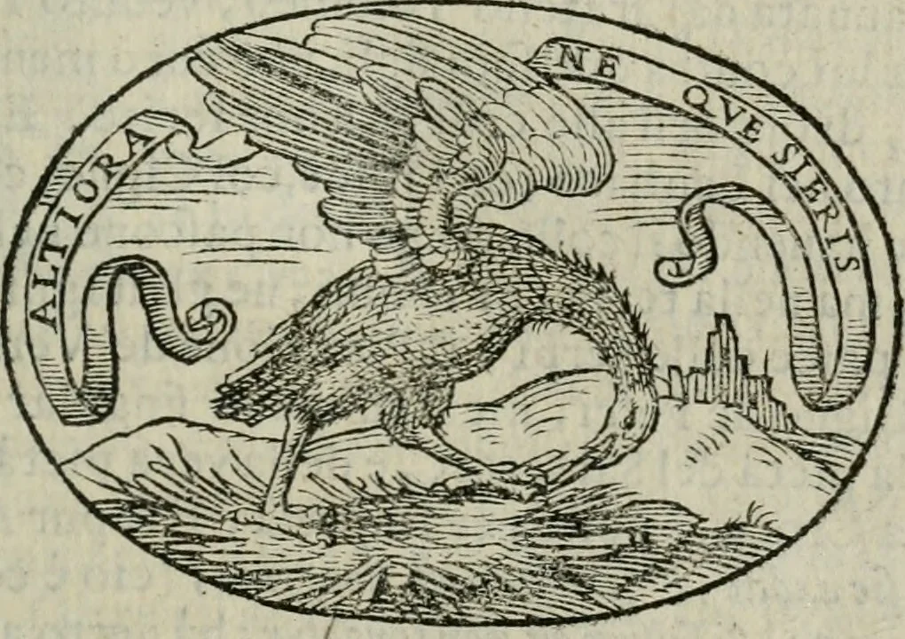 An illustration from Delle imprese trattato, 1592, leaf 456
