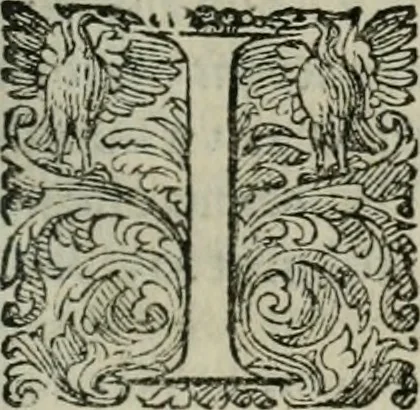 An illustration from Delle imprese trattato, 1592, leaf 456